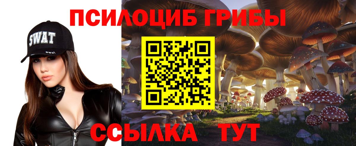 Псилоцибиновые грибы мухоморы Новочебоксарск